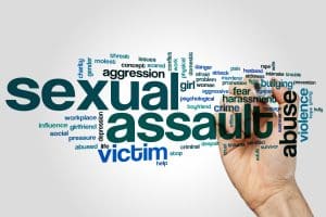 Sexual Assault of an Intoxicated Cruise Ship Passenger by a Crewmember